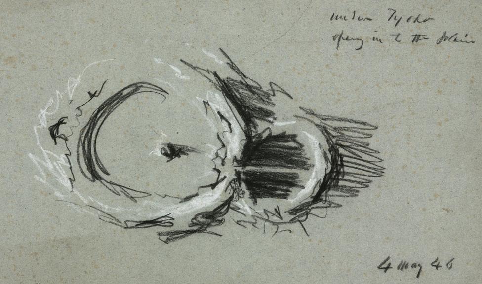 One of six sketches  in crayon by James Nasmyth showing craters