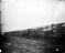 Nine Elms Collection
