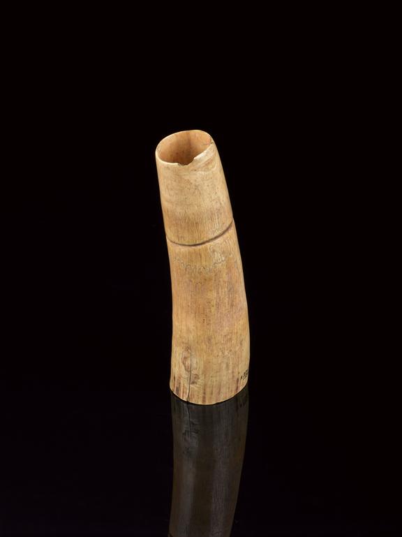 penis tobacco pipe penis-sheath Dani Penis Gourd Sheath (Koteka)