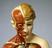 Life size female anatomical figure