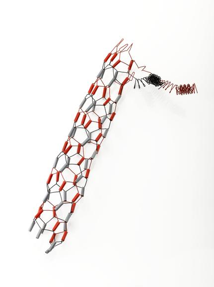 Model, of a Dodecahedron with projections at vertebrae