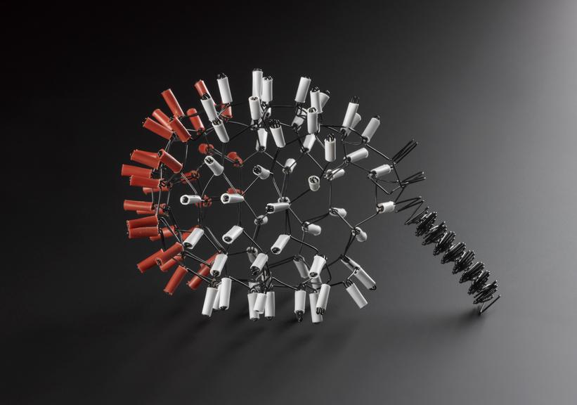 Model, of a bacilliform structure