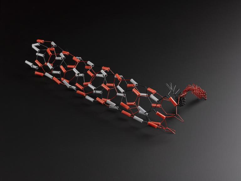 Model, of a Dodecahedron with projections at vertebrae