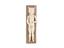 Ivory anatomical figure, a male