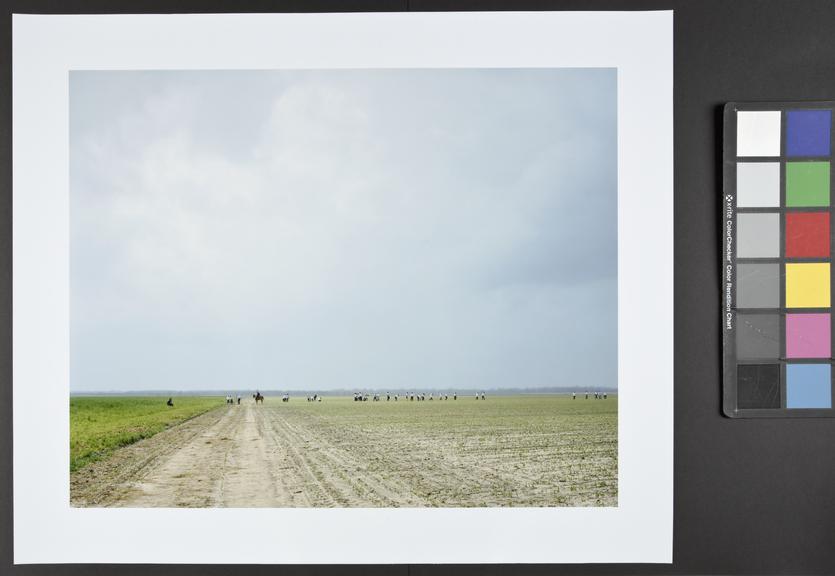 The Farm, Angola State Prison, Louisiana