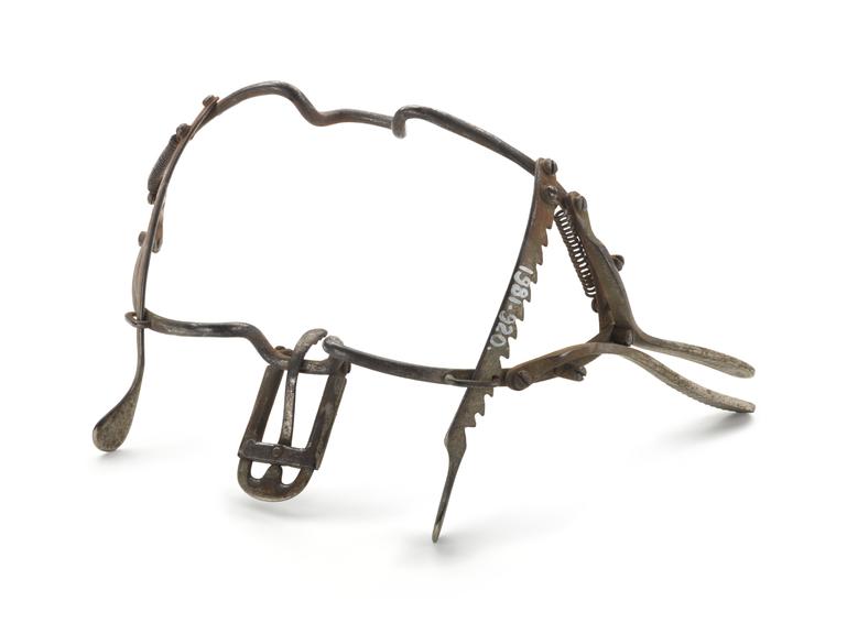 Whitehead mouth gag with tongue depressor
