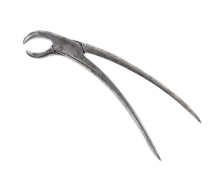 Parrot-beak dental forceps, of good workmanship, German