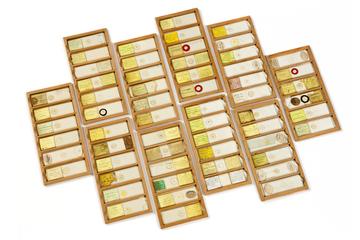 Sixty-two microphotographs by J. B. Dancer