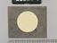 Observations of the Sun and Jupiter by John Willis
