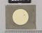 Observations of the Sun and Jupiter by John Willis