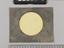 Observations of the Sun and Jupiter by John Willis