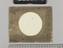 Observations of the Sun and Jupiter by John Willis