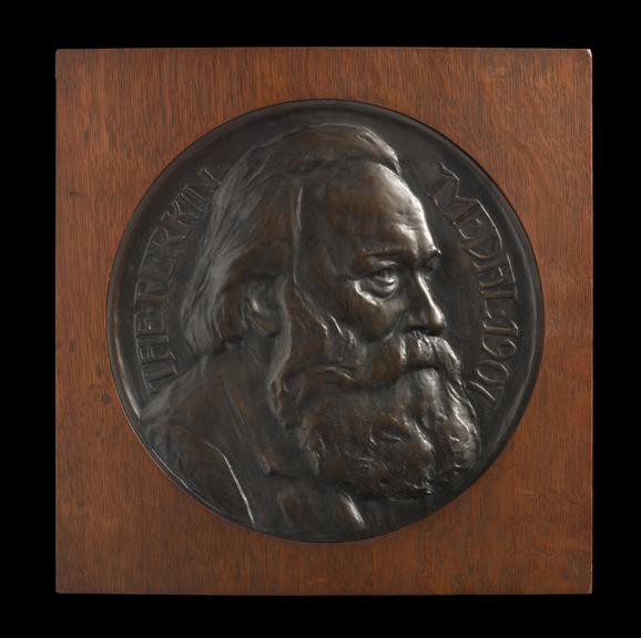 The Perkin Medal 1907 Science Museum Group Collection
