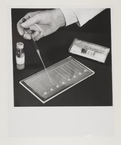 A black and white print showing laboratory testing with IEP