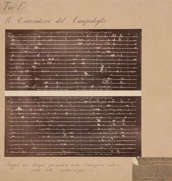 Photograph of Drawing of  Solar Chromosphere (black-and-white prints (photographs); pictorial drawings; Sun; solar  prominences; solar chromosphere)