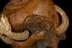 Tobacco jar carved in the form of human skull and snake