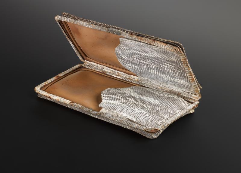 Rectangular snakeskin cigar case