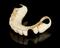 Partial upper denture, ivory, English, 1780-1860.