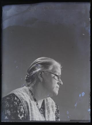 Glass negative