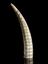 Pipe made of Walrus tusk