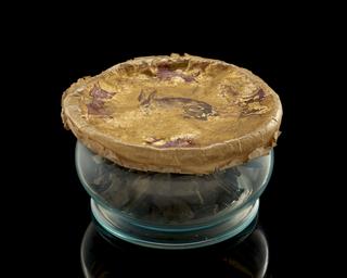 Glass bowl with cover