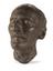 Plaster death mask of Prof