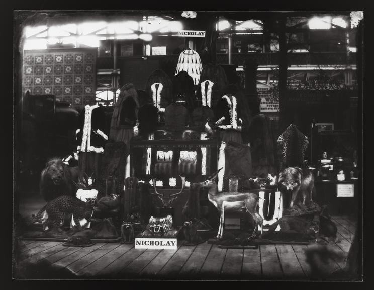Furs, Nicholay