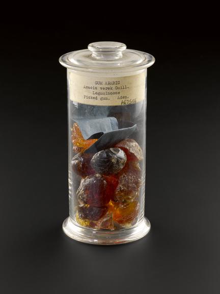 Specimen jar containing gum arabic