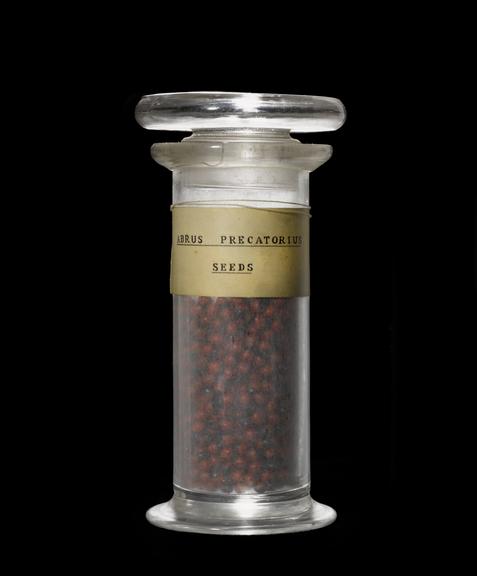 Glass specimen bottle for seeds of Abrus Precatorius.