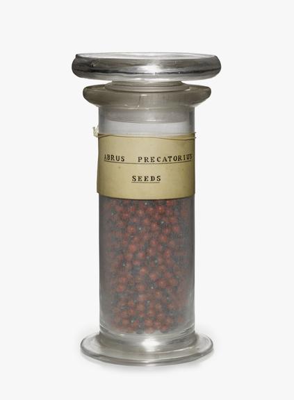 Glass specimen bottle for seeds of Abrus Precatorius.