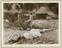 Photographs illustrating native paper-making in Kashmir