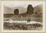 Photographs illustrating native paper-making in Kashmir