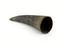 Cupping horn, gently curved, pointed tip, perforated, Ibo tribe