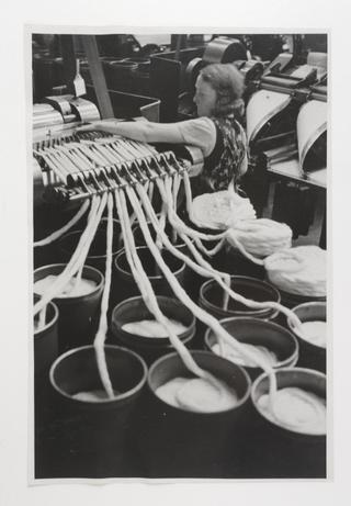 Daily Herald Photograph: Machine tester piecing up a broken sliver of cotton