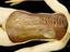 Wax anatomical figure of reclining woman