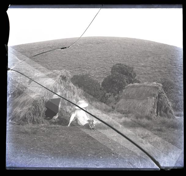 A glass plate negative of a woman sitting on the grass