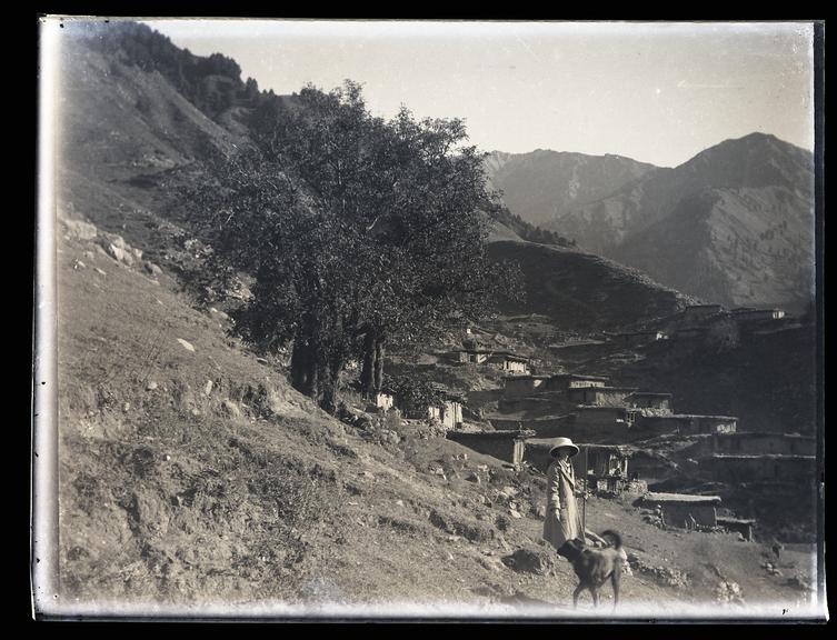 Glass negatives of hill and forest views