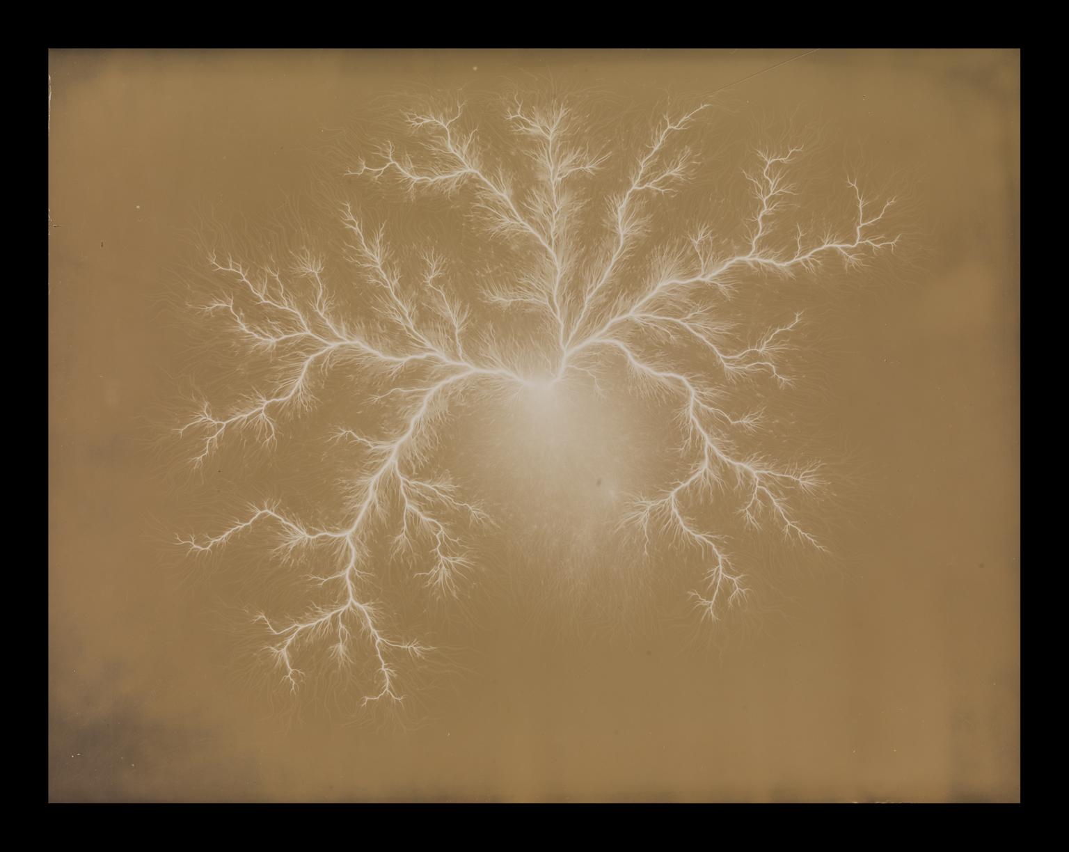 Photograph of positive electrical discharge