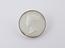 Silver edged, glazed plaster replica of Royal Society medal