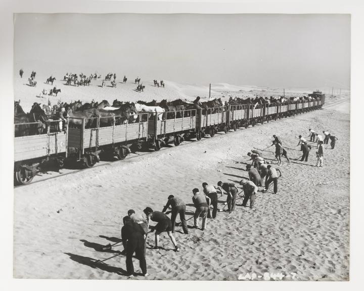 Location shooting for 'Lawrence of Arabia', 1962