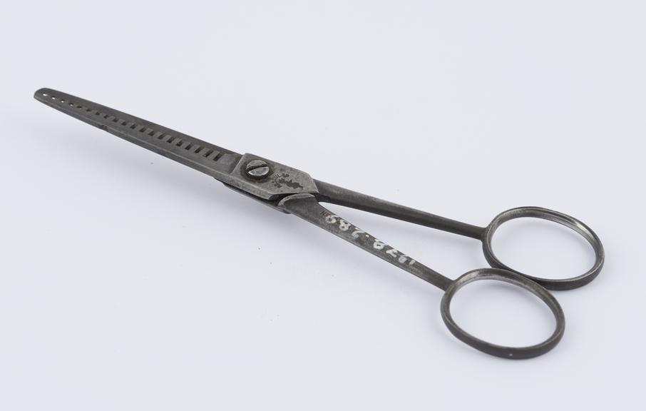 One pair of thinning scissors.