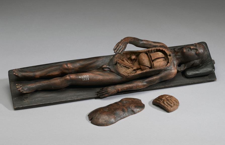 Wooden anatomical figure, male, possibly 17th century