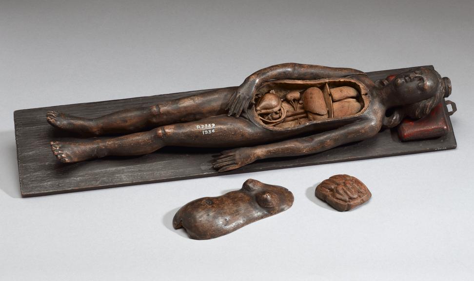 Wooden anatomical figure, female, possibly 17th century