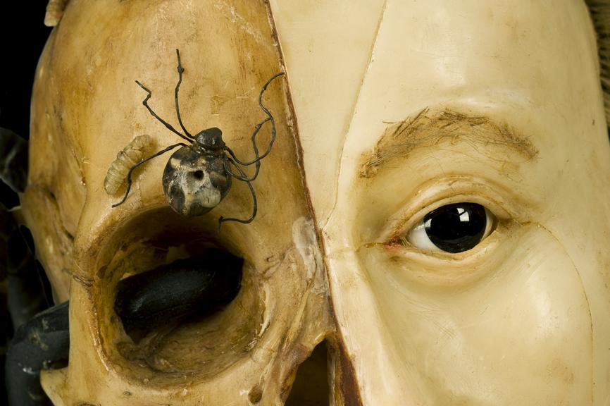 Wax vanitas, Europe, 1701-1800 | Science Museum Group Collection