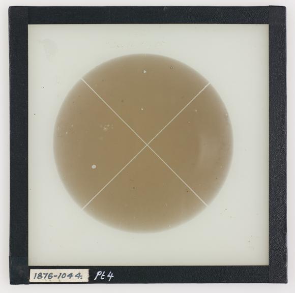 Photoheliograph of the Sun