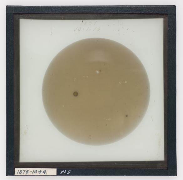 Photoheliograph of the Sun