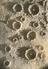 Fifteen Photographs of Nasmyth's Lunar Crater Models