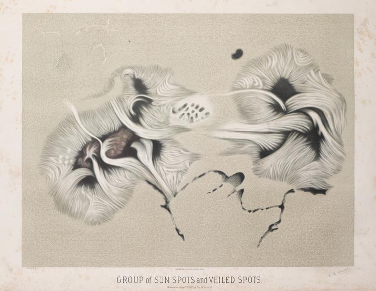 Colour lithograph of sunspots and veiled spots