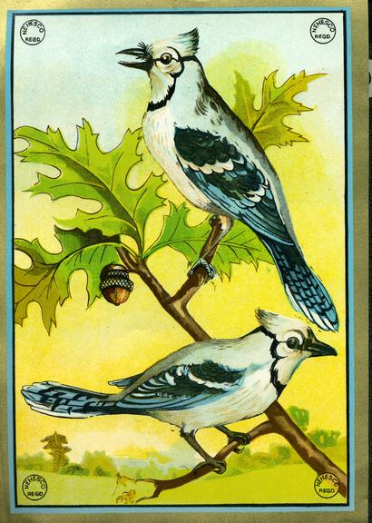 Shipper's ticket depicting blue jays on an oak branch