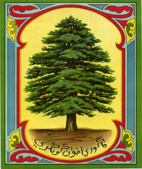 Shipper's ticket depicting a spruce tree